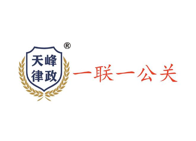 十大公关公司成功案例：策略创新与行业标杆实践